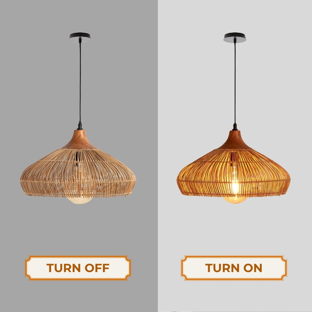 Havenly Rattan Woven Dome Pendant Light